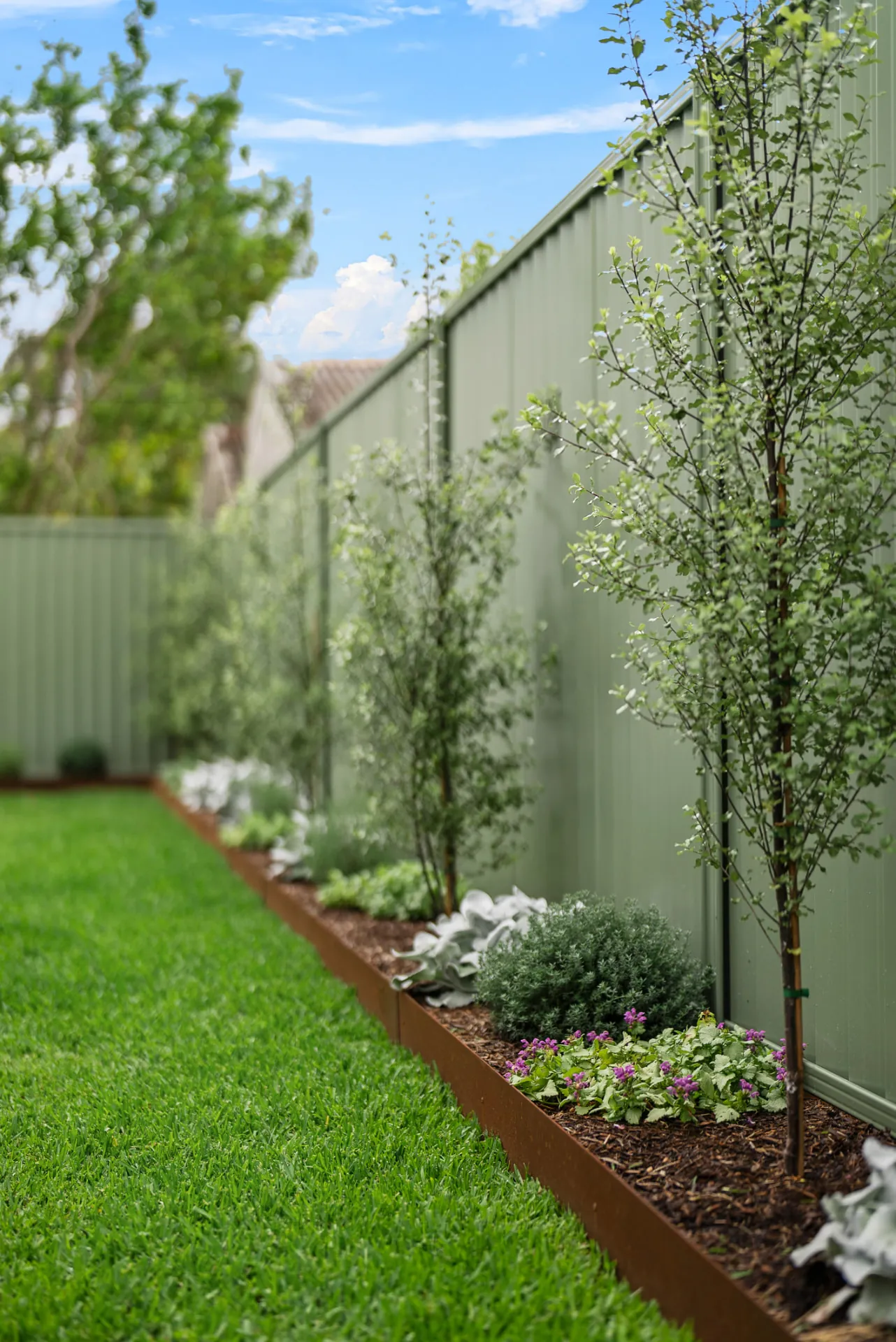 Landscaped garden bed with new plantings along the rear fence of the Scott home
